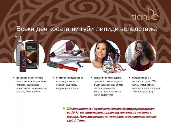 Слайд2