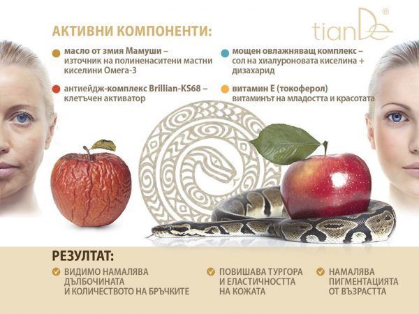 Слайд2